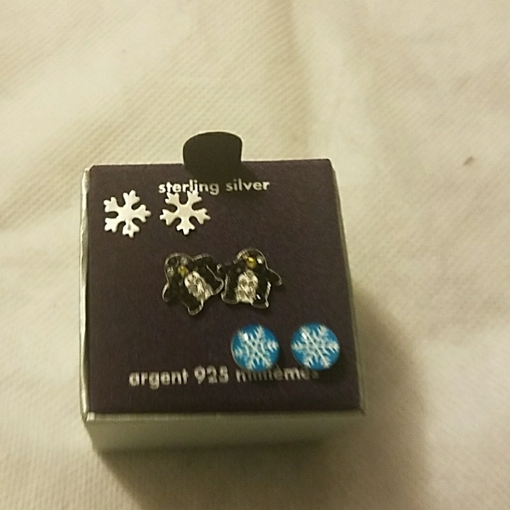 Sterling Silver Esrrings6